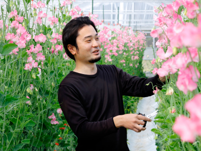 きらり36号