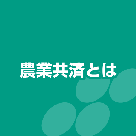 農業共済とは