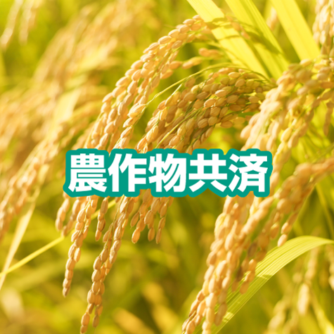 農作物共済