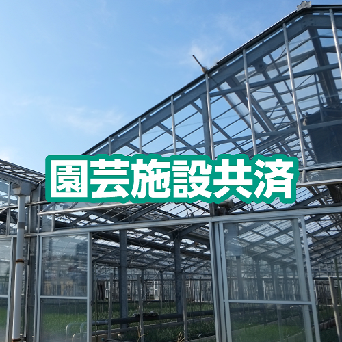 園芸施設共済